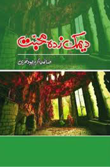Dimak Zada Mohabbat – دماغ زدہ محبت